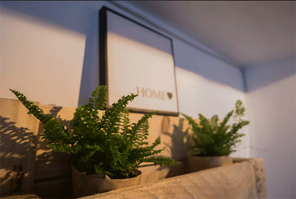 Budget Price Apartment Rental in Nghi Tam street, Tay Ho, Nice Amenities