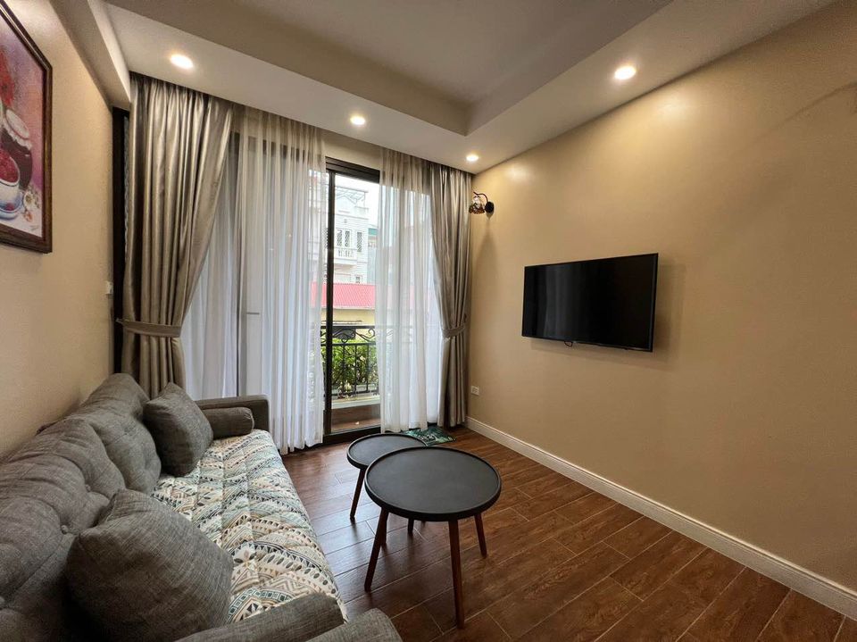 Modern One Bedroom Apartment in Ba Mau Lake, Hai Ba Trung, Good Price