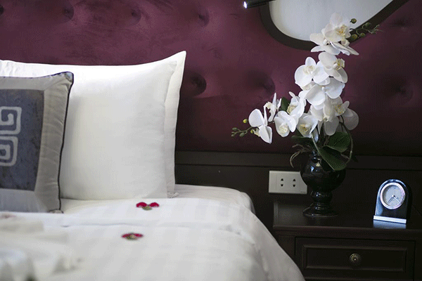 Newly Renovated One Bedroom Serviced Apartment Rental in Linh Lang street, Ba Dinh
