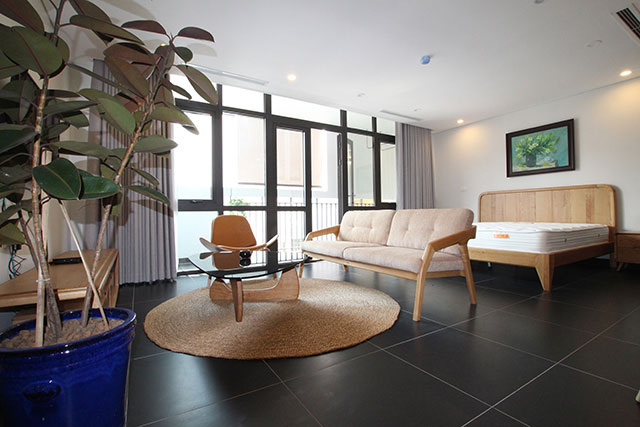 Nice and Bright One Bedroom Apartment in Kim Ma street, Ba Dinh