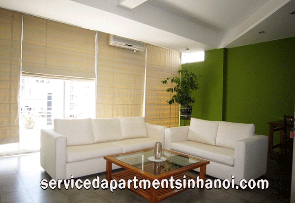 Spacious & Bright Apartment rental near Quan Thanh st, High floor, Great view