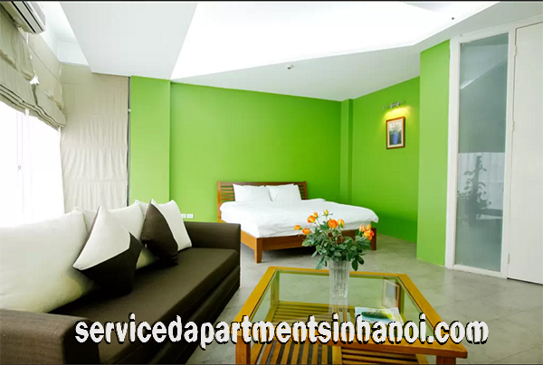 Spacious One Bedroom Apartment Rental in Quan Thanh street, Ba Dinh